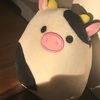 gabsquishmallow